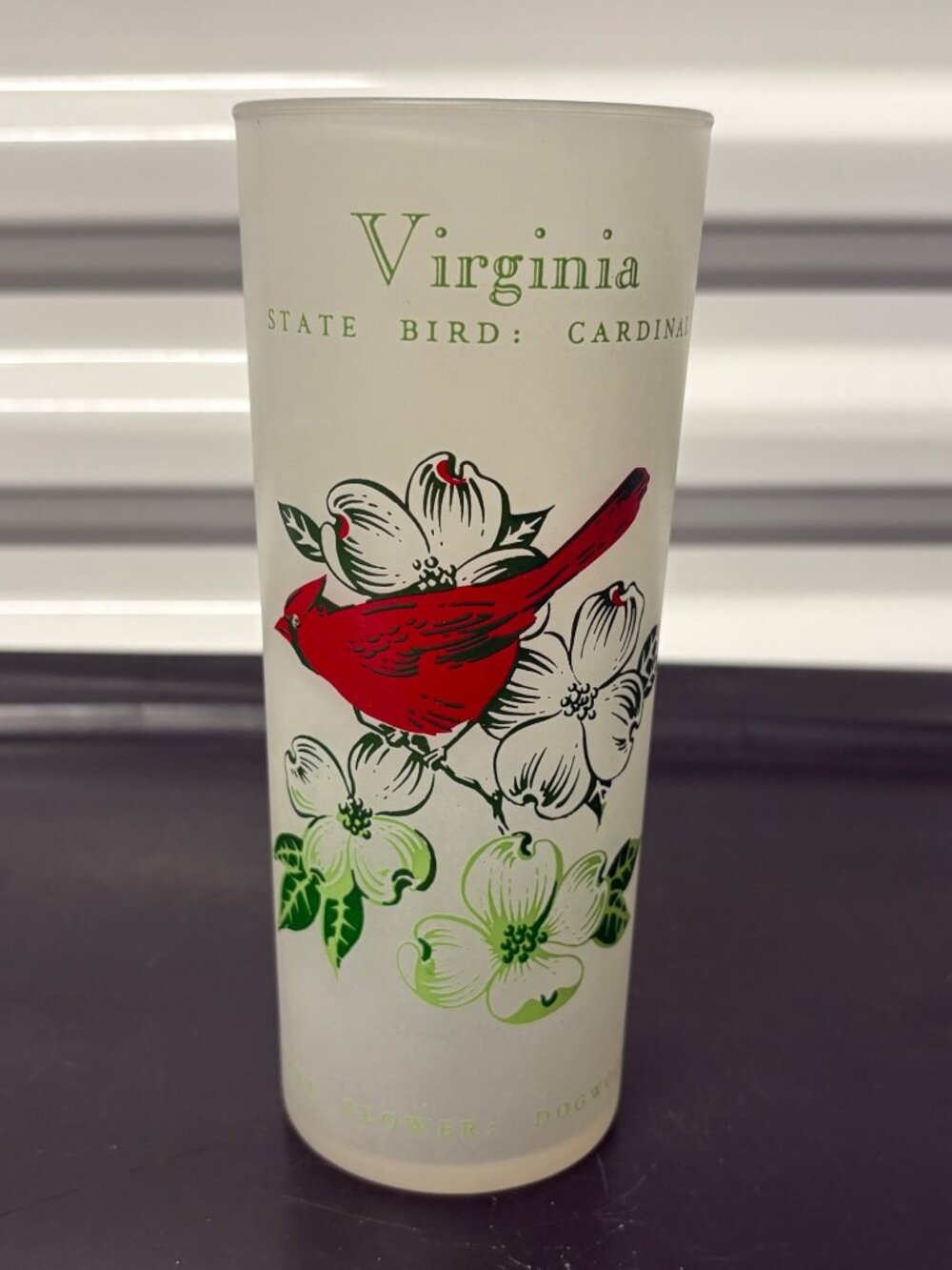 Vintage Virginia State Bird Cardinal Flower Dogwood Frosted Glass Tumbler 6.25"